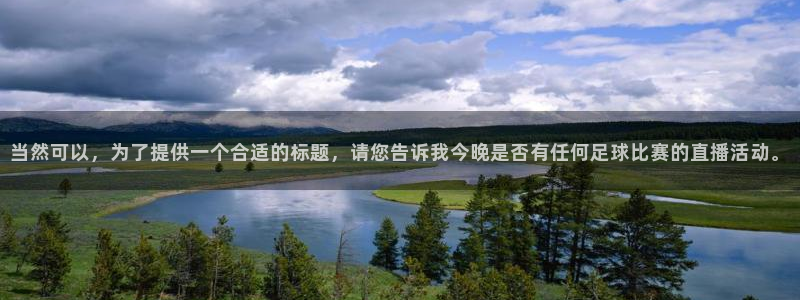 当然可以，为了提供一个合适的标题，请您告诉我今晚是否有任何足