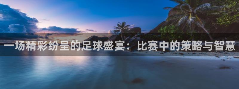 mk体育官网登录入口网址：一场精彩纷呈的足球盛宴：比赛中的策